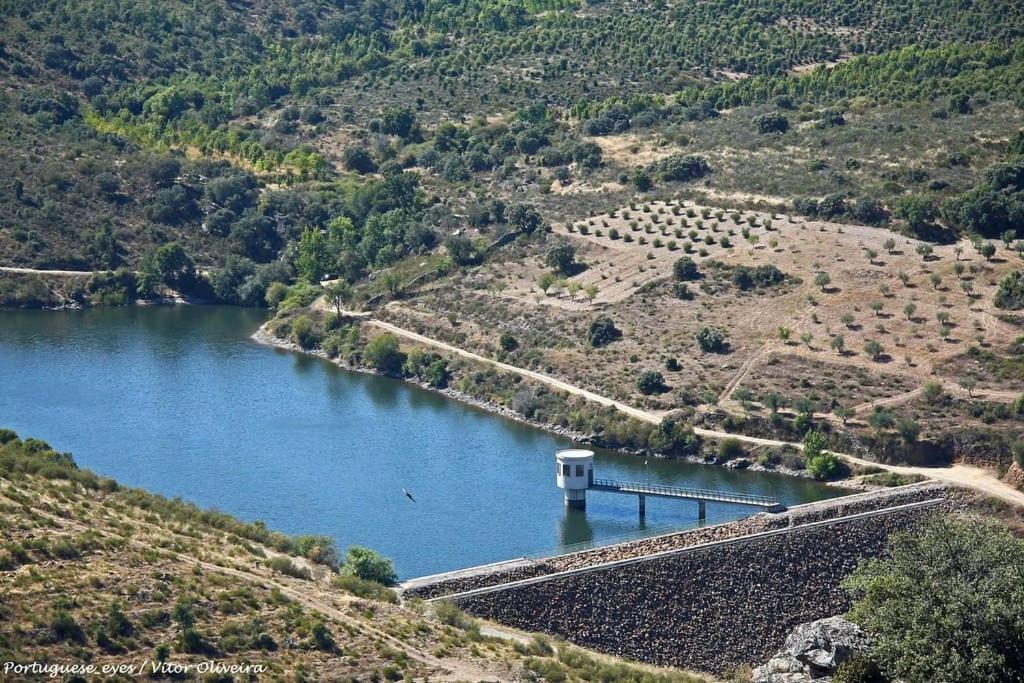 Anju-pardal Mogadouro (Braganca)