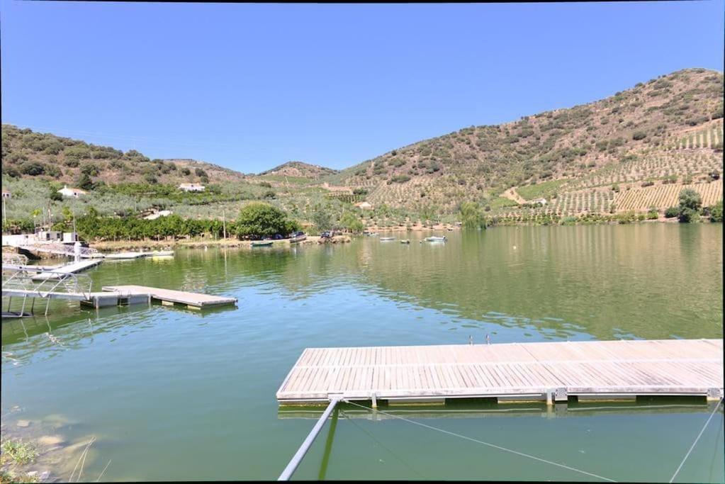 Anju-pardal * Mogadouro (Braganca)